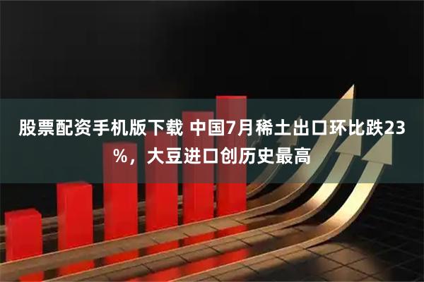 股票配资手机版下载 中国7月稀土出口环比跌23%，大豆进口创历史最高