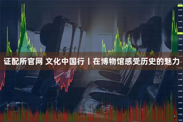 证配所官网 文化中国行丨在博物馆感受历史的魅力