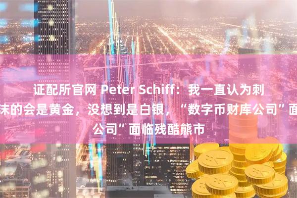 证配所官网 Peter Schiff:我一直认为刺破比特币泡沫的会是黄金,没想到是白银,“数字币财库公司”面临残酷熊市